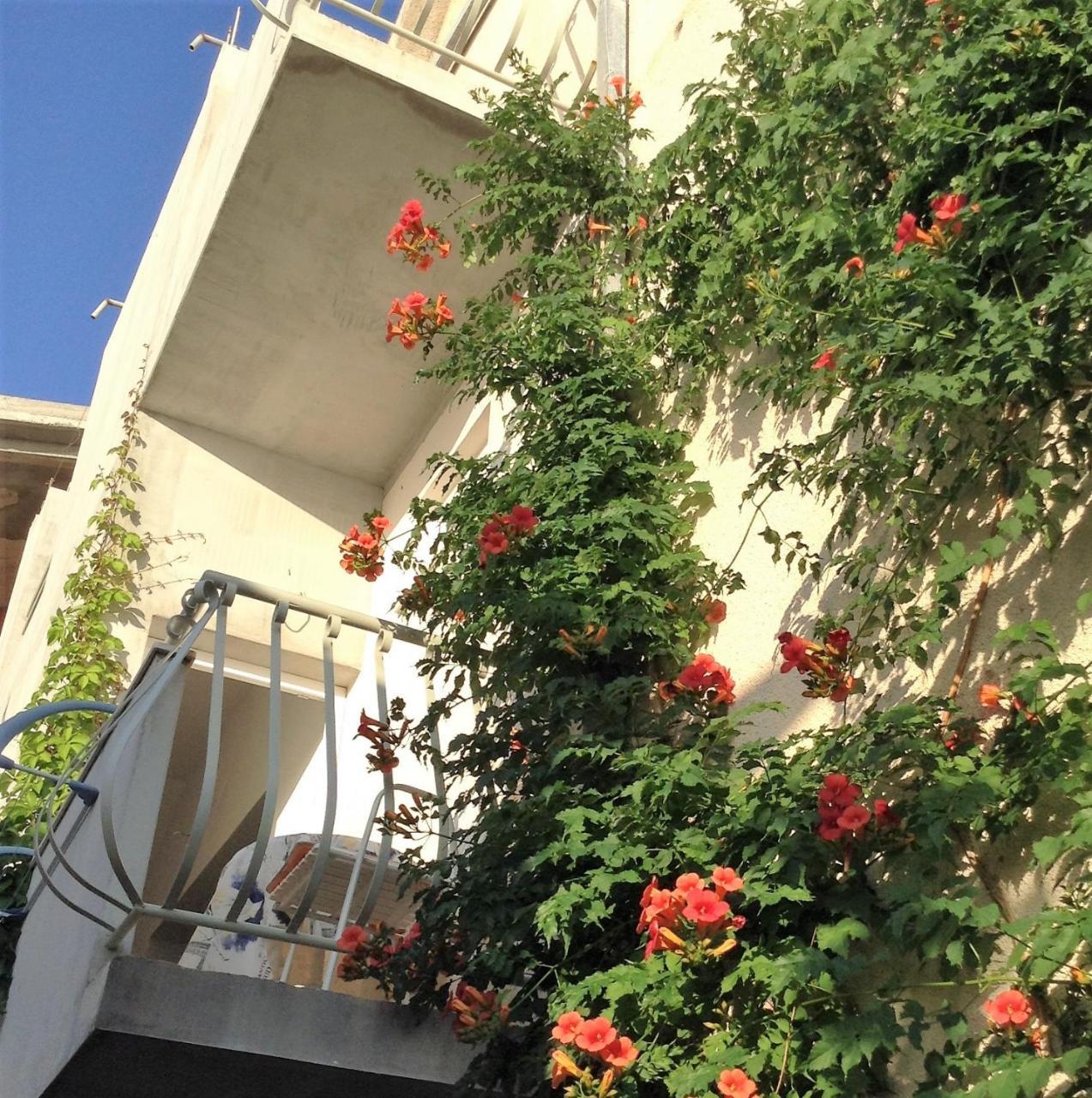 Apartments Leut ドラスニセ 部屋 写真